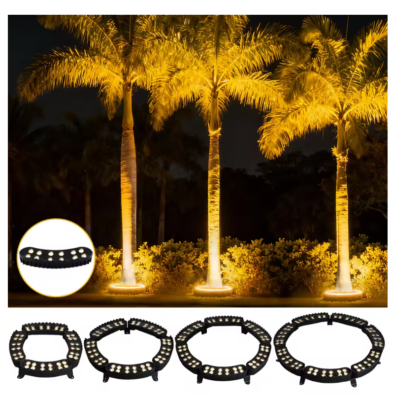 TreeGlow LED ring lights illuminating palm trees at night