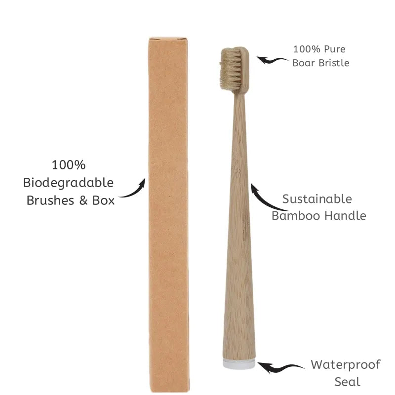 Cartnoova Boar Bristle Bamboo Toothbrushes – 4 Pack [Full Set]