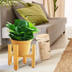 Bamboo Raised Plant Stand - Cartnoova