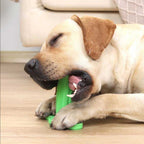 Dogtooth Cleaning Toy - Cartnoova