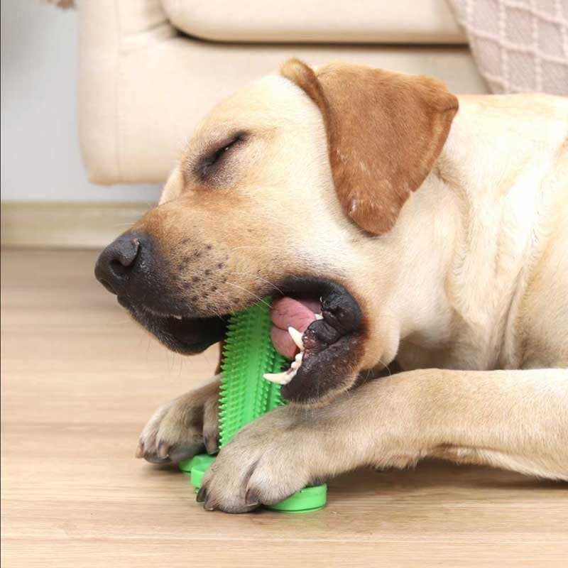 Dogtooth Cleaning Toy - Cartnoova
