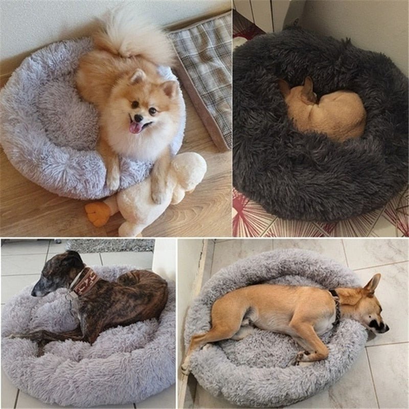 DonutBed ™ - for Pets - Cartnoova