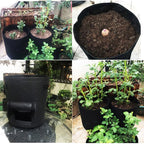 Easy Access Potato Planting Bag - Cartnoova