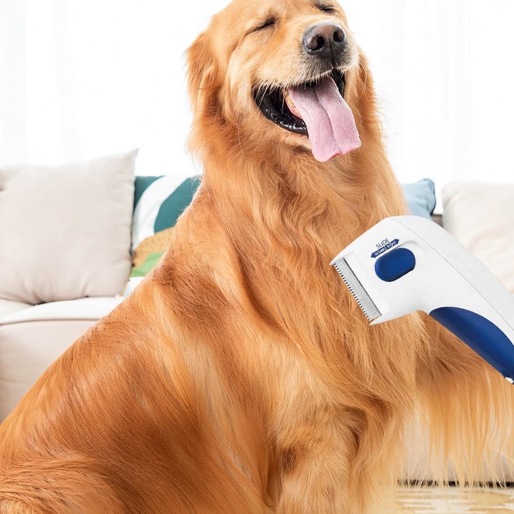 Electric Flea Cleaner Brush - Cartnoova