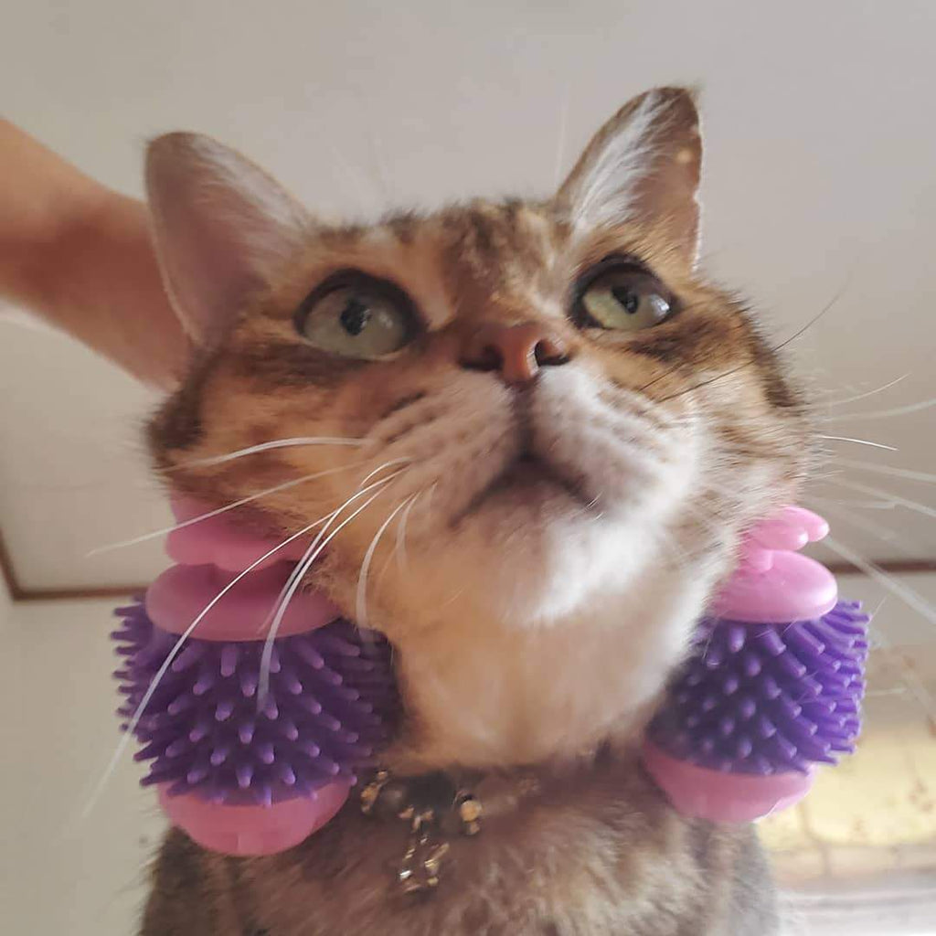 Kitty Tongue Cat Massage Roller | Japan 🇯🇵 #1 Pet Gadget - Cartnoova
