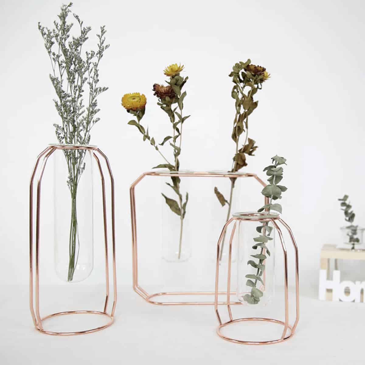 Midcentury Modern Glass and Metal Plant Propagation Stand - Full Package (3 pcs) - Cartnoova