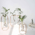 Midcentury Modern Glass and Metal Plant Propagation Stand - Full Package (3 pcs) - Cartnoova