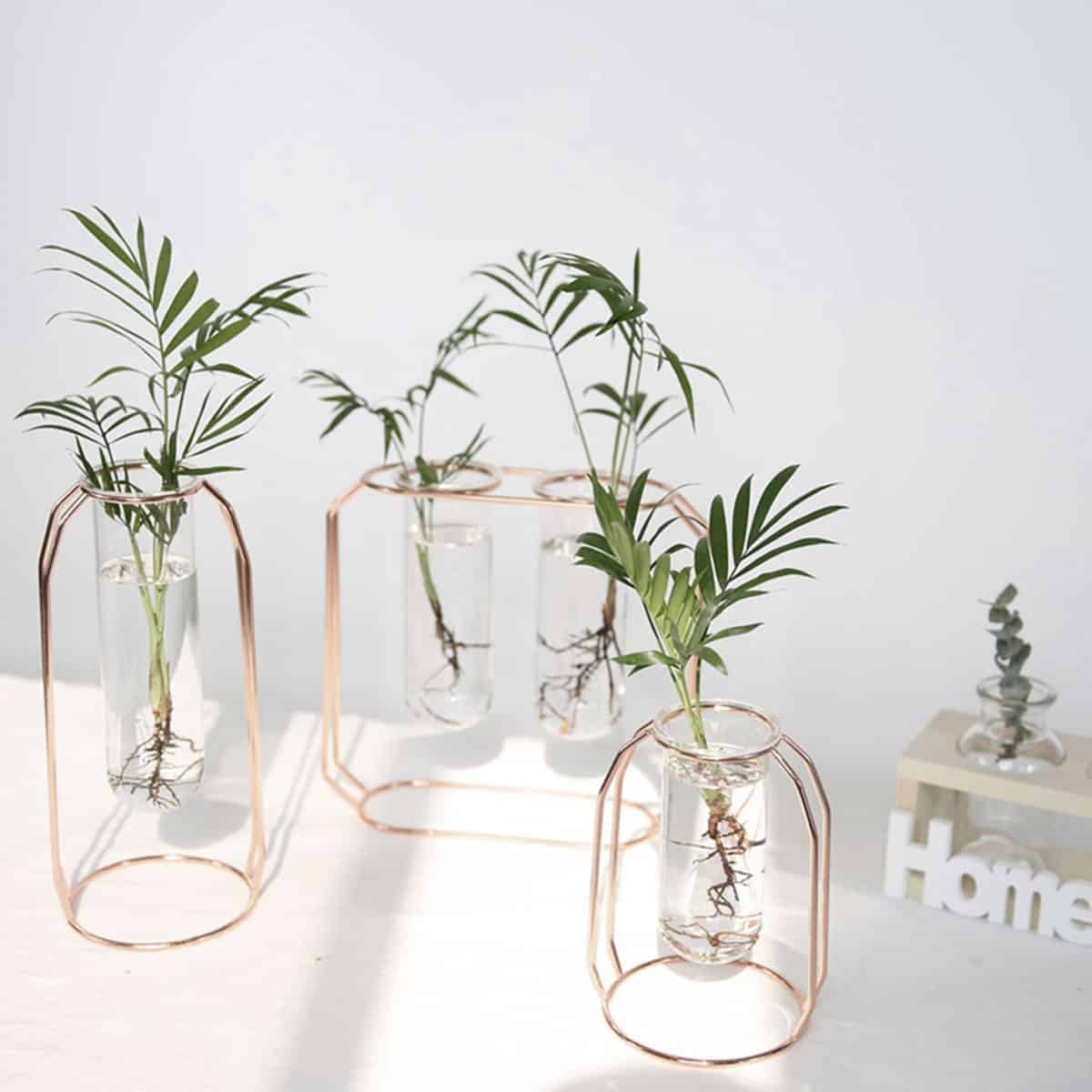 Midcentury Modern Glass and Metal Plant Propagation Stand - Full Package (3 pcs) - Cartnoova