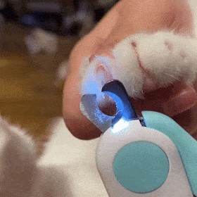 Pet Nail Clipper LED - Cartnoova