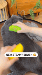 PetSoothe™ - Pet Electric Spray Massage Comb - Cartnoova