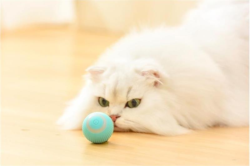 RollingPurr ™ - Cartnoova