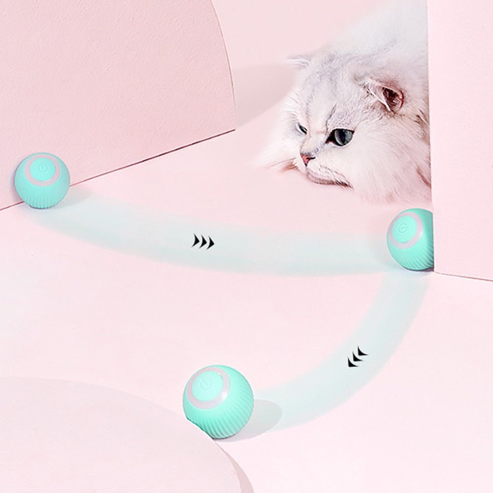 RollingPurr ™ - Cartnoova