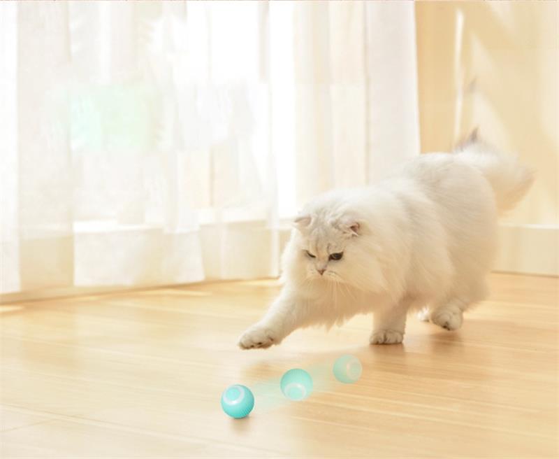 RollingPurr ™ - Cartnoova