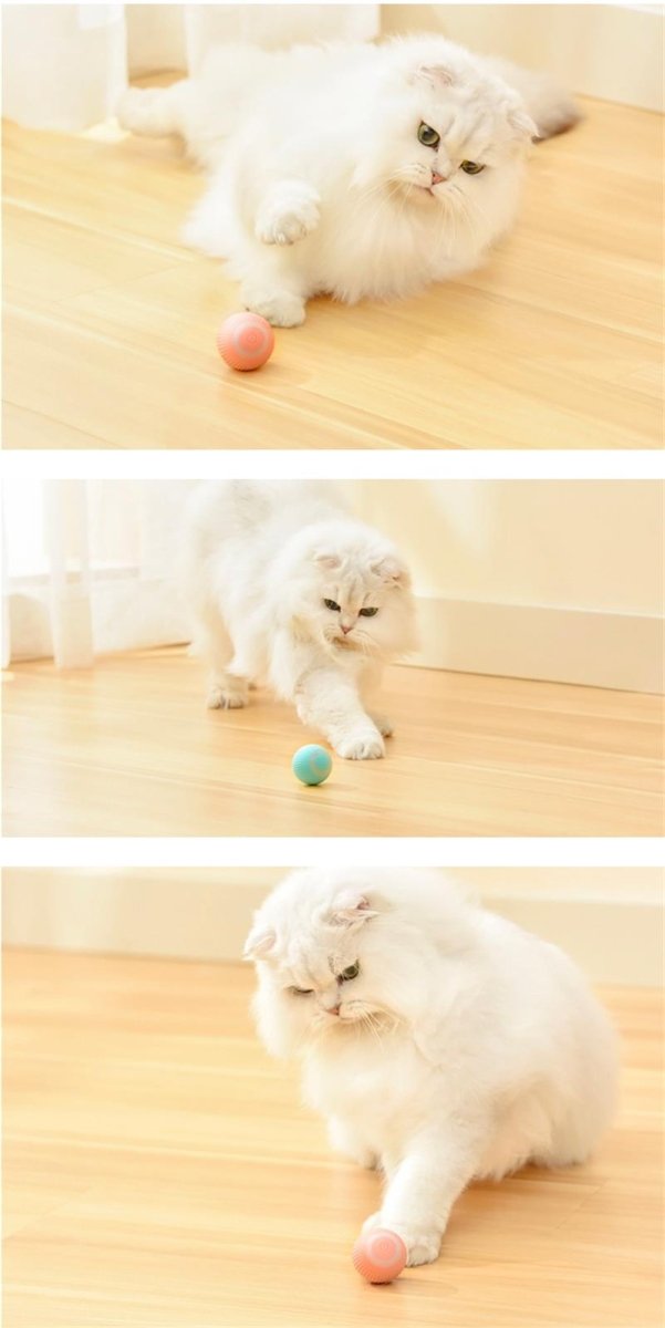 RollingPurr ™ - Cartnoova