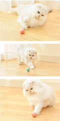 RollingPurr ™ - Cartnoova