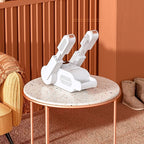 Smart Shoe Dryer - Cartnoova