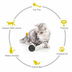 Toy Friend Cat™ - Cartnoova