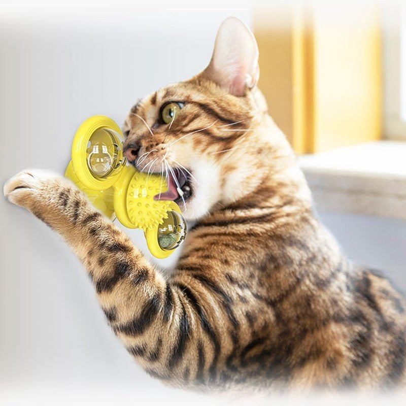 WhirligigPuzzle™ - Toy for Kitten Brush Teeth - Cartnoova