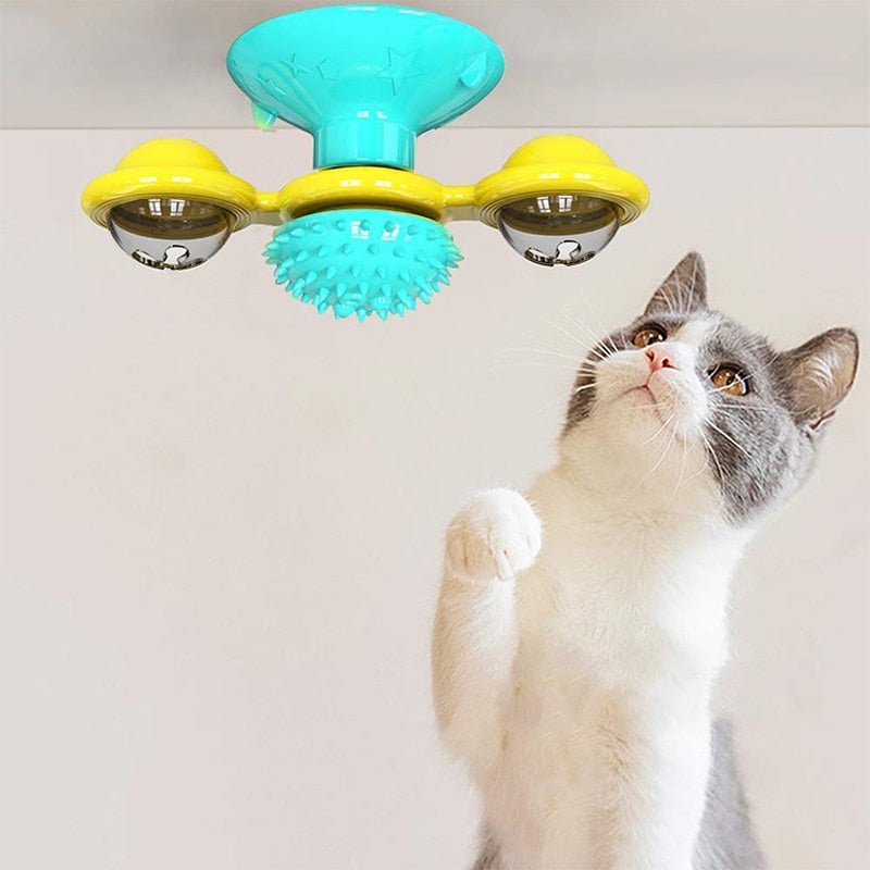 WhirligigPuzzle™ - Toy for Kitten Brush Teeth - Cartnoova