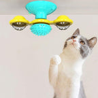 WhirligigPuzzle™ - Toy for Kitten Brush Teeth - Cartnoova